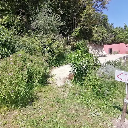 Hacienda Terrasse Parking Boite A Cles Nocleg ze śniadaniem Patrimonio