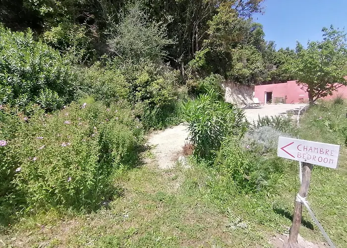 Hacienda Terrasse Parking Boite A Cles Bed & Breakfast Patrimonio